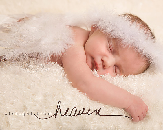 Infants & Toddler Professional Photo Gallery