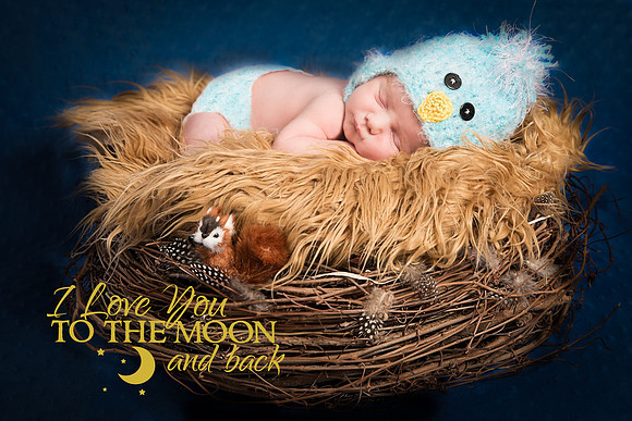 Infants & Toddler Professional Photo Gallery