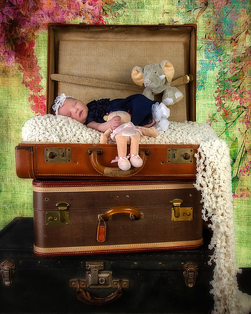 Infants & Toddler Professional Photo Gallery