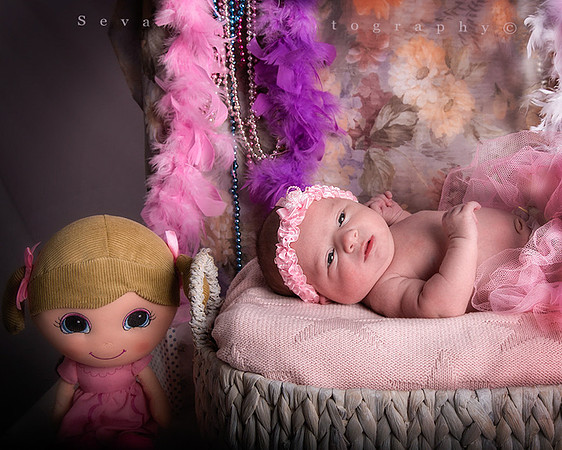 Infants & Toddler Professional Photo Gallery